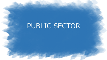 public sector