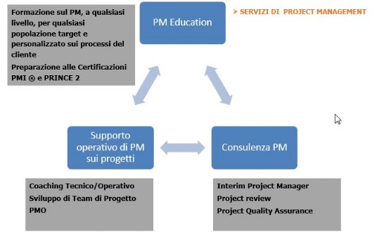 PROJECT MANAGEMENT SERVIZI BIG PICTURE